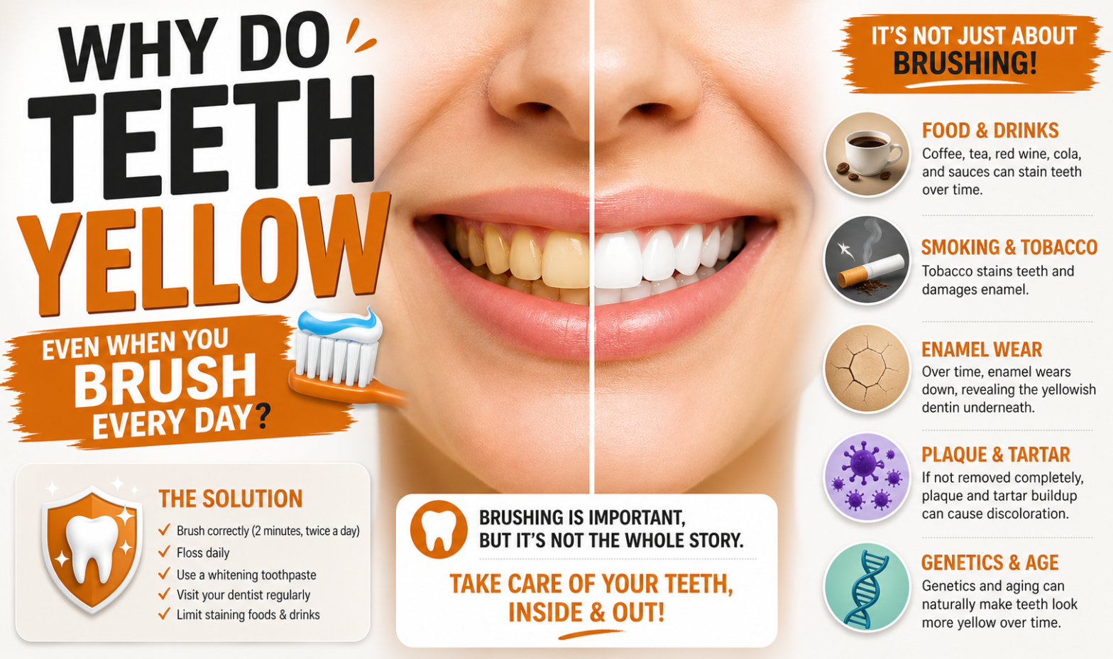 Dentist